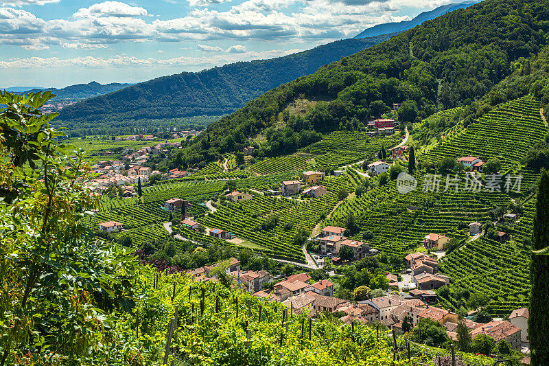 Valdobbiadene -夏季普洛赛科山